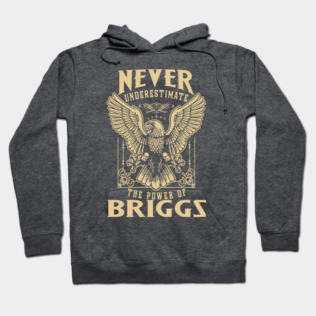 Never Underestimate The Power Of Briggs Hoodie by tuneitoutstudio